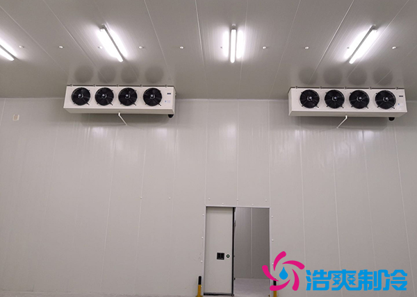 建造一個(gè)冰淇淋冷庫造價(jià)需要多少錢？