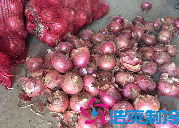 建造1000噸洋蔥保鮮冷庫安裝費(fèi)用是多少？