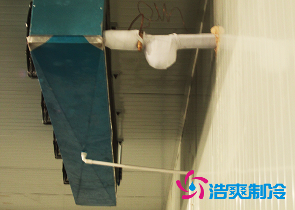 建造大型農(nóng)產(chǎn)品基地冷庫(kù)造價(jià)需要投資多少費(fèi)用？