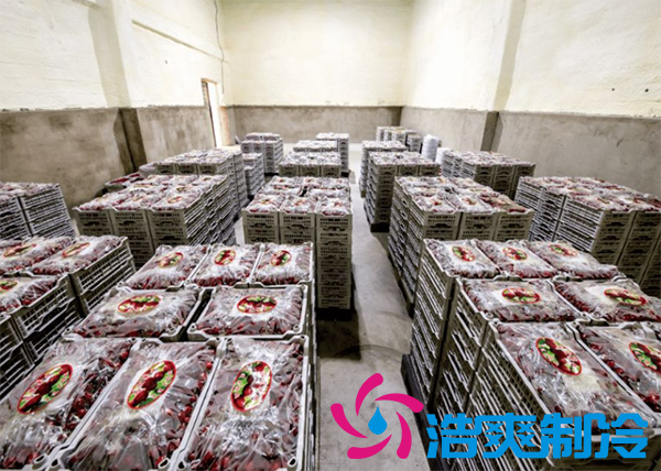 果蔬保鮮冷庫(kù)安裝造價(jià)需要多少錢？_浩爽制冷