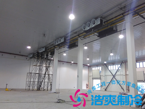 建造一個小型青果檳榔保鮮冷庫造價(jià)多少錢？可以存儲多長時間？