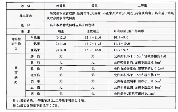 李子冷庫建造完成后如何用于儲存的？這些你都知道嗎