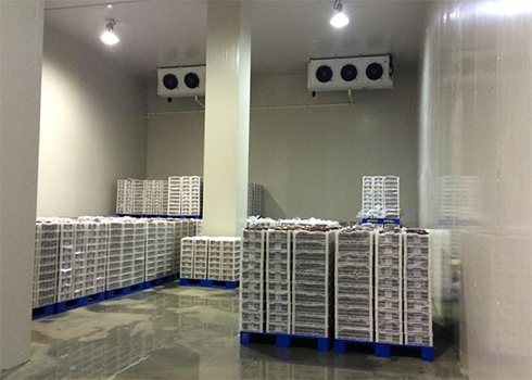 建造安裝1000㎡冷庫造價大概需要多少費(fèi)用？_浩爽制冷