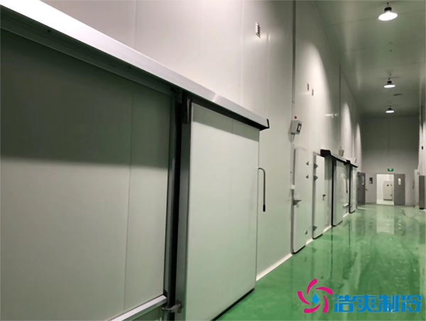 新鮮檳榔如何通過建造檳榔凍庫有效儲存？_浩爽制冷