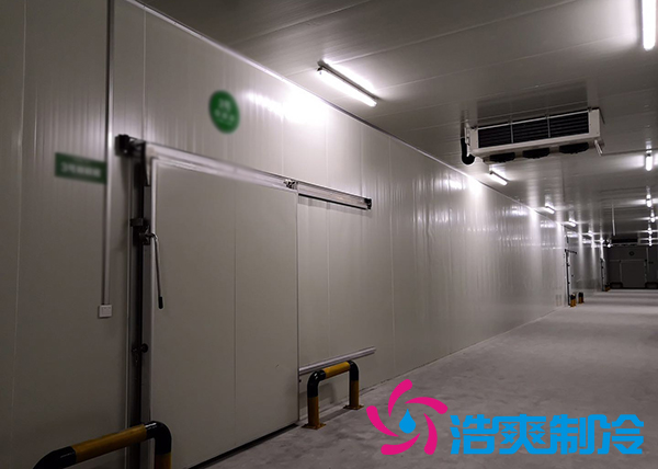 新鮮檳榔如何通過建造檳榔凍庫有效儲存？_浩爽制冷