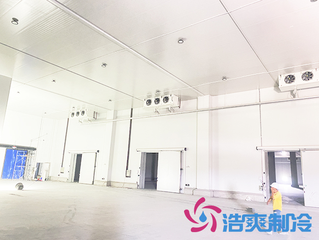 海南建造一個冷庫需要多少錢？_浩爽制冷