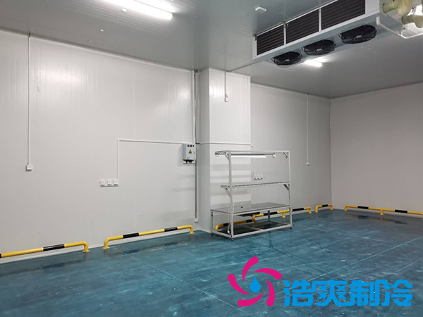 建一個(gè)1000平米蔬菜恒溫庫成本多少錢？_浩爽制冷