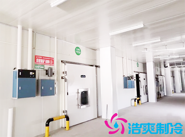 建一個(gè)冷庫(kù)安裝成本費(fèi)用需要多少錢(qián)？-浩爽制冷