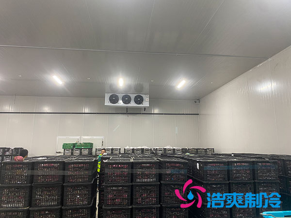 嘉定雞蛋冷庫(kù)安裝建造多少錢？-浩爽制冷