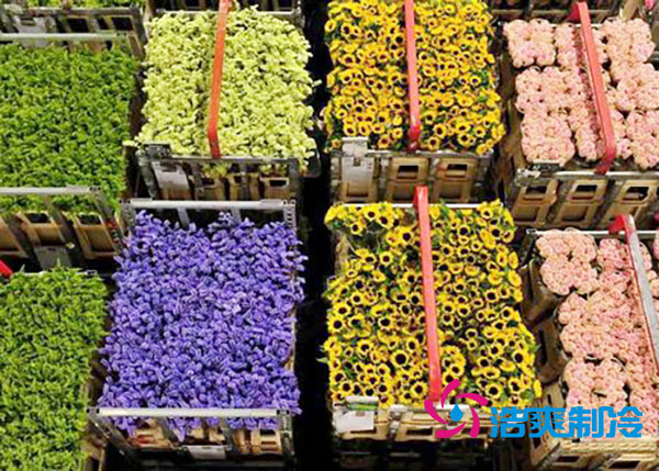 花卉冷庫(kù)安裝預(yù)算造價(jià)多少錢？-浩爽制冷
