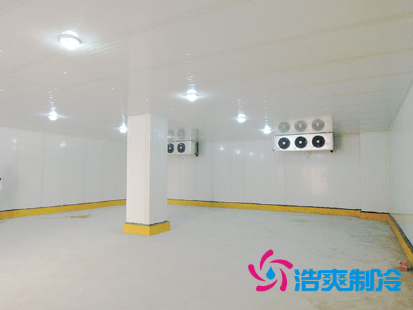 佛山冰淇淋冷庫價格多少錢？-浩爽制冷