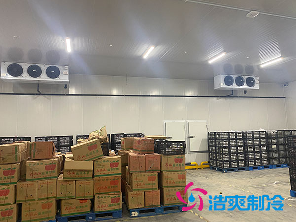 衡陽大型水果冷庫造價多少錢一平方？-浩爽制冷