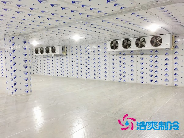 建造一個餐飲雙溫冷庫造價成本需要多少資金？