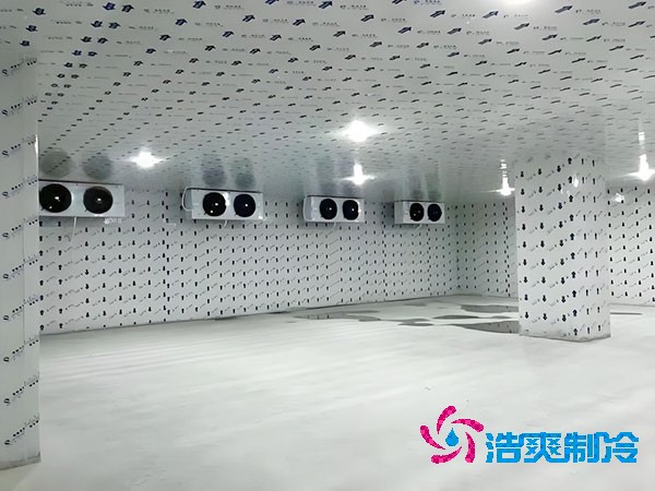 建一個生姜冷庫造價造價大概多少錢？-浩爽制冷