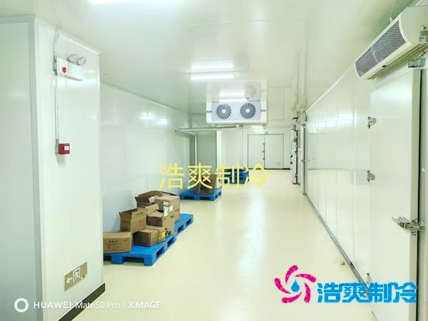 荔枝冷庫(kù)安裝價(jià)格多少錢(qián)一平方米？荔枝冷庫(kù)可以放多久-浩爽制冷